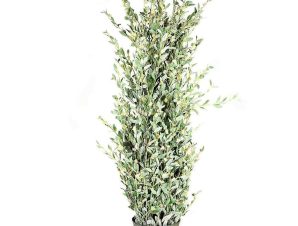 Τεχνητό Φυτό Silverberry 1320-6 55x183cm Green Supergreens