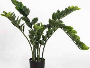 Τεχνητό Φυτό Ζάμια 5450-6 60x80cm Green Supergreens