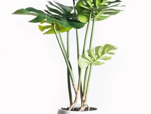 Τεχνητό Φυτό Μονστέρα 8550-6 40x40x65cm Green Supergreens