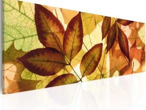Πίνακας – collage – leaves 135×45