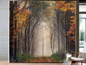 Mysterious Forest, Φύση, Αυτοκόλλητα ντουλάπας, 100 x 63 εκ.