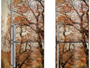 Φθινοπωρινά δέντρα, Vintage, Αυτοκόλλητα ψυγείου, 50 x 85 εκ.