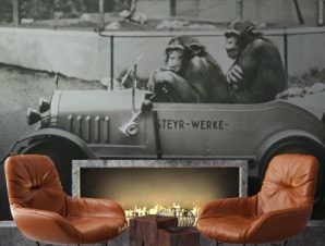 Δύο χιμπατζήδες, Ζώα, Ταπετσαρίες Τοίχου, 100 x 100 εκ.