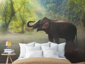 Ελέφαντας, Ζώα, Ταπετσαρίες Τοίχου, 100 x 100 εκ.